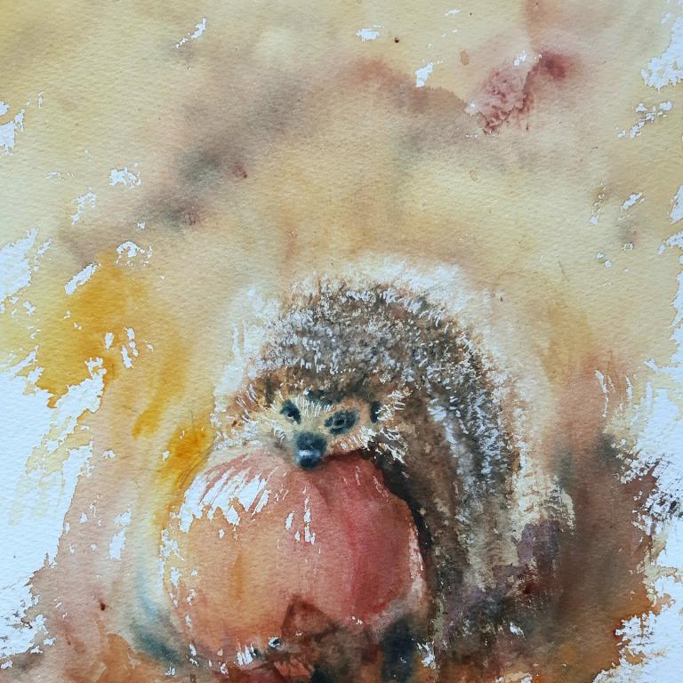 Aquarellmalkurs - online