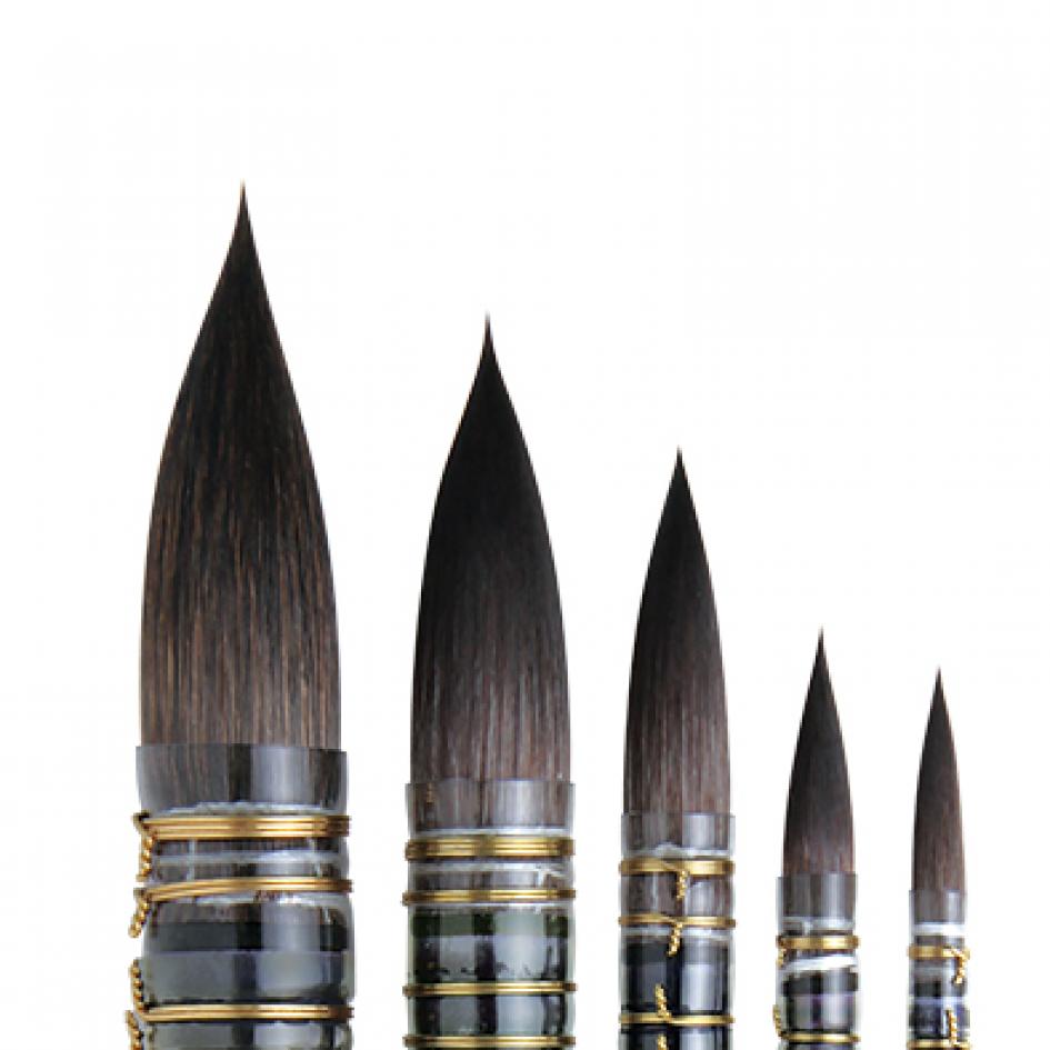 DA VINCI CASANEO Serie 5598